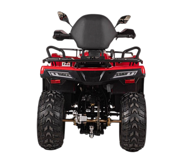 Квадроцикл Bizon YK250 LUX EFI