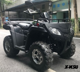 Квадроцикл RATO - 250 LD