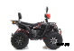Квадроцикл GBM SHARP BIG 300 PREMIUM