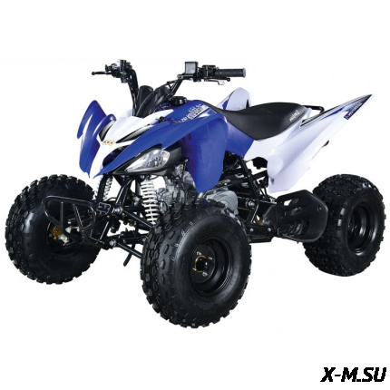 Квадроцикл ABM SCORPION 125M