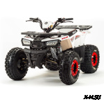 Квадроцикл MOTOLAND (МОТОЛЕНД) 125 WILD BASIC