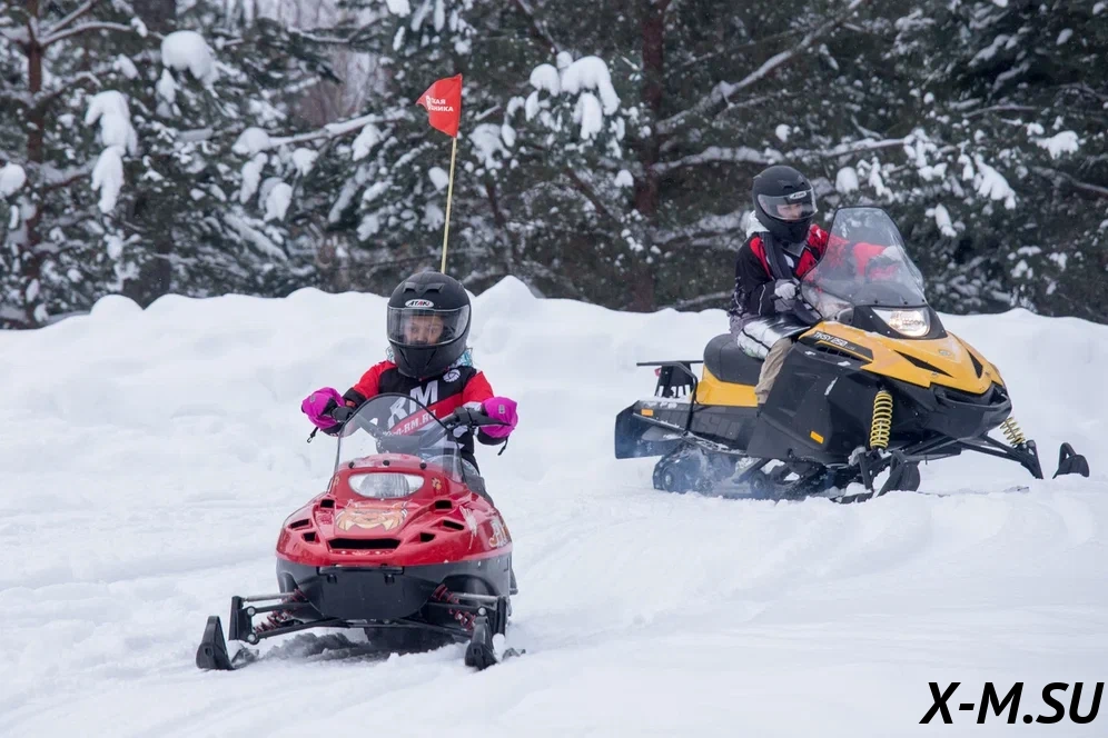 Снегоход Русская механика РМ ТАЙГА  РЫСЬ