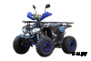Квадроцикл UNIVERSAL ATV 125 TM Fusion plus